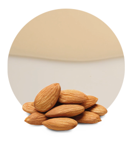 Almond Milk Concentrate-image- 1