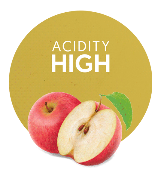 Apple Concentrate High Acidity-image- 1