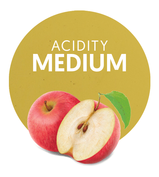 Apple Concentrate Medium Acidity-image- 1