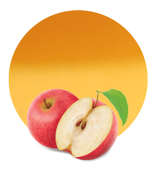 Apple Puree Concentrate-image- 1
