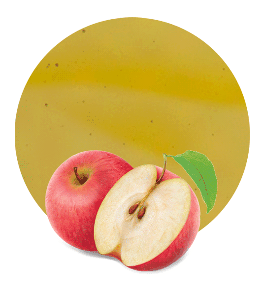 Apple Syrup-image- 1