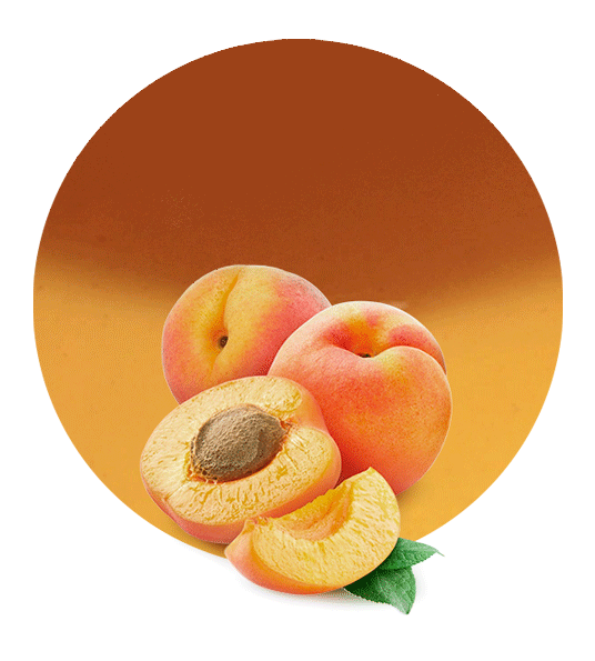 Apricot filling-image- 1