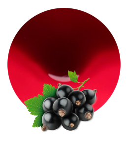Blackcurrant Concentrate-image- 1