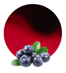 Blueberry Concentrate-image- 1