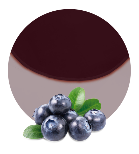 Blueberry filling-image- 1