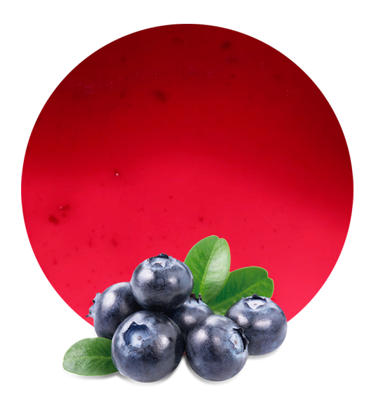 Blueberry pomace-image- 1