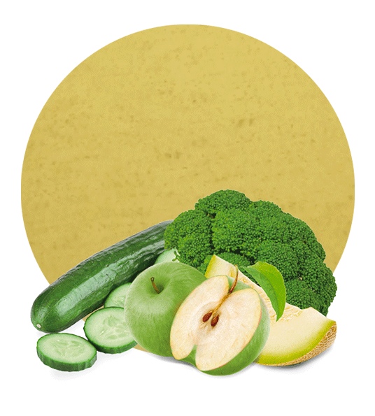 Green apple, Broccoli, Cucumber & Honeydew Melon Concentrate-image- 1
