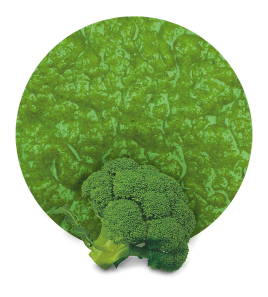 Broccoli puree-image- 1
