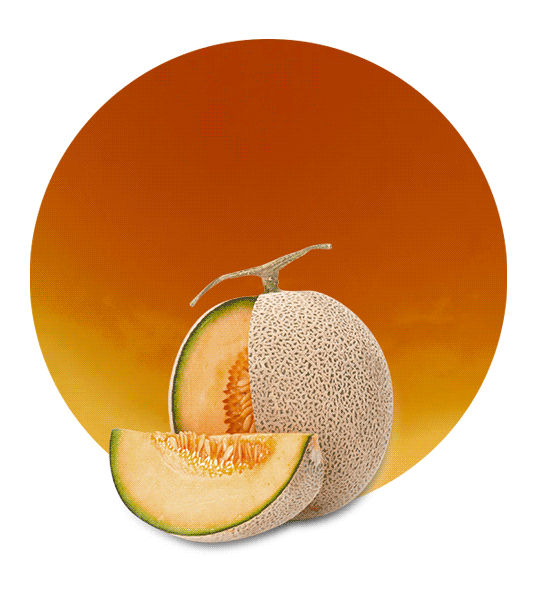 Cantaloupe Melon Concentrate-image- 1