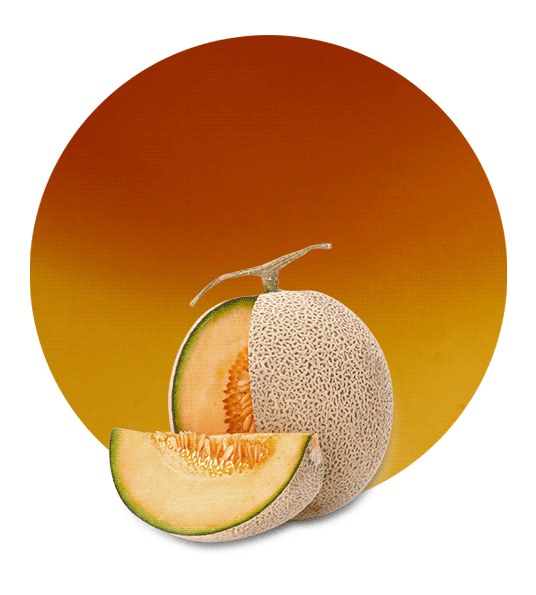 Cantaloupe Melon Syrup-image- 1