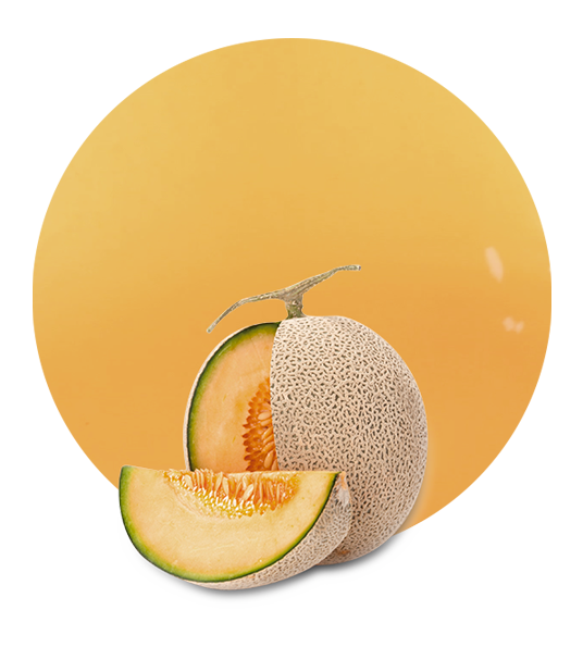 Cantaloupe melon juice NFC-image- 1