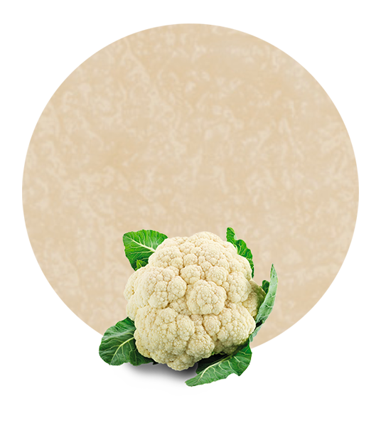 Cauliflower Puree-image- 1