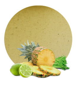 Celery, Pineapple & Lime Concentrate-image- 1
