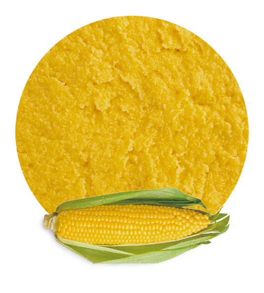 Corn Puree-image- 1