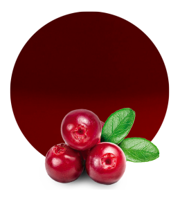 Cranberry Concentrate-image- 1
