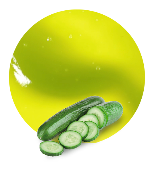 Cucumber Concentrate-image- 1