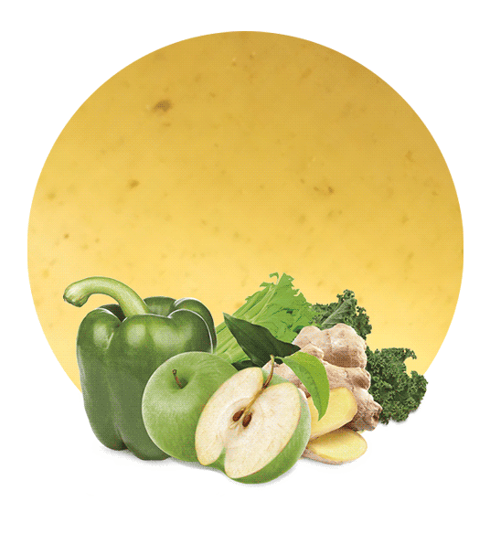 Green Pepper, Kale, Celery, Apple & Ginger Concentrate-image- 1