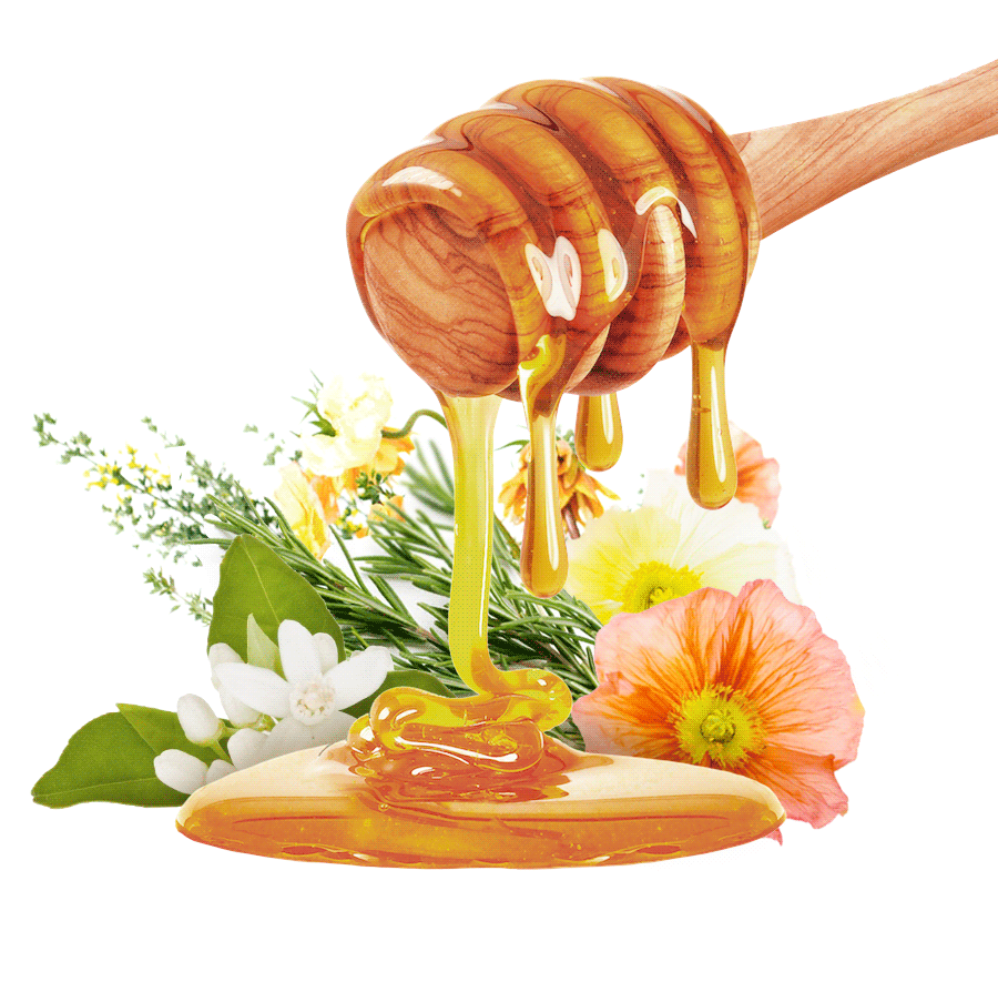 Honey Type Mixed Varieties-image- 1