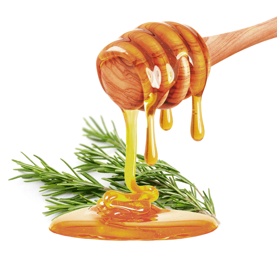 Honey Type Rosemary-image- 1