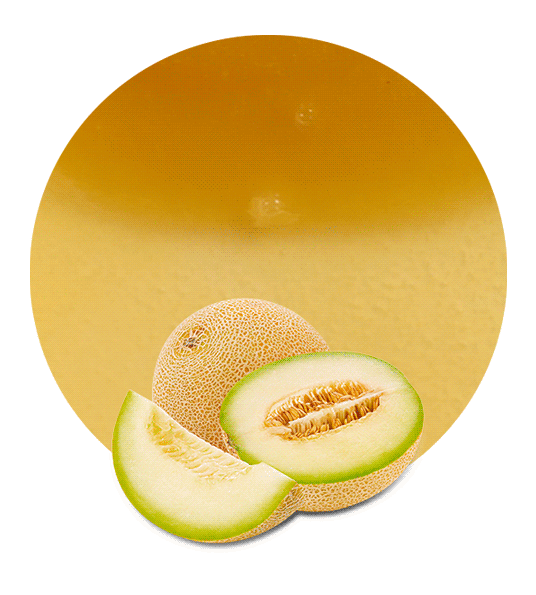 Honeydew Melon Juice Concentrate-image- 1