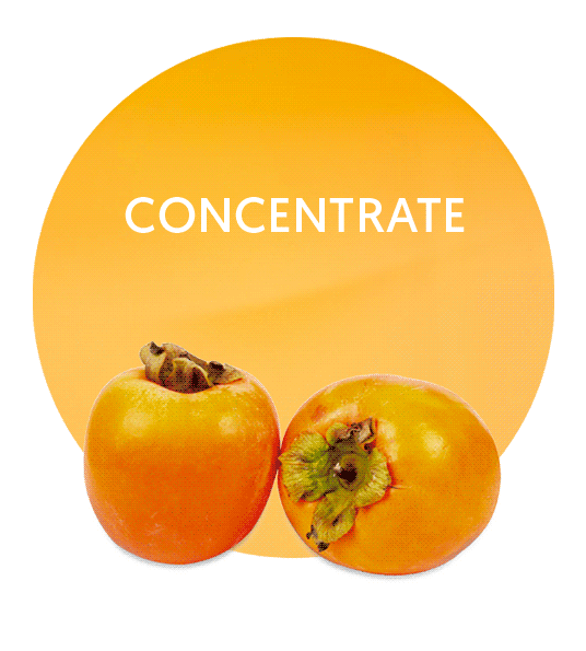 Kaki Concentrate-image- 1