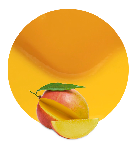 Mango Puree-image- 1