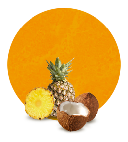Pineapple and Coconut Concentrate-image- 1