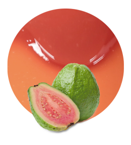 Pink Guava Concentrate-image- 1