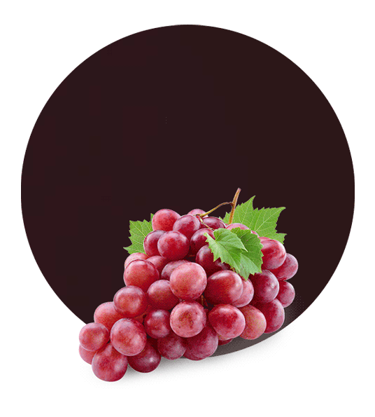 Red Grape Juice Concentrate-image- 1