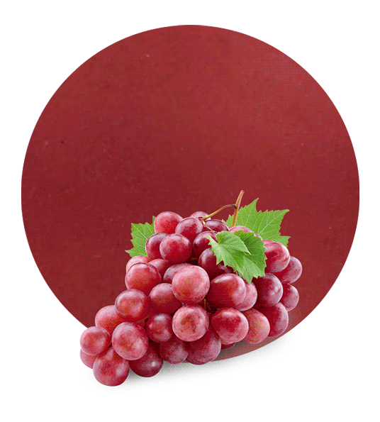 Red grape pomace-image- 1