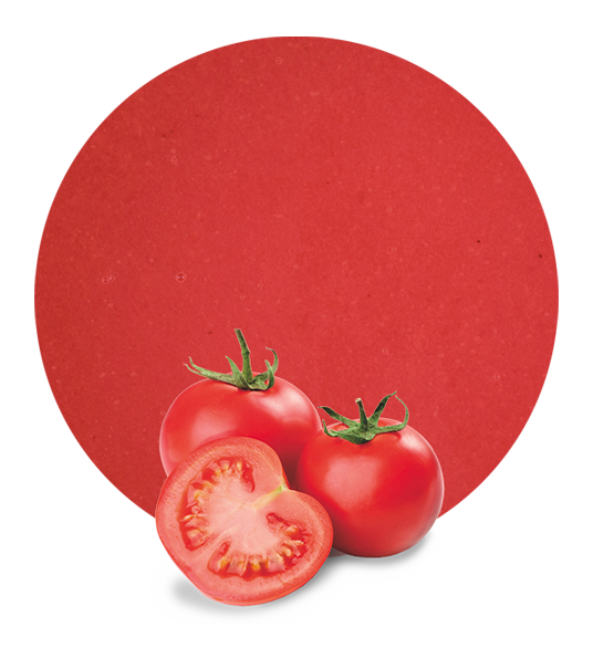 Tomato puree-image- 1