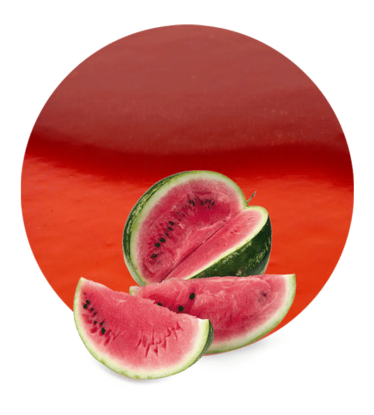 Watermelon Juice Concentrate-image- 1