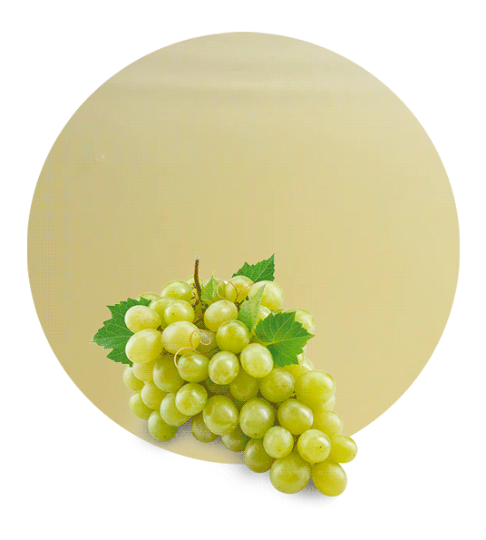 White Grape Concentrate-image- 1