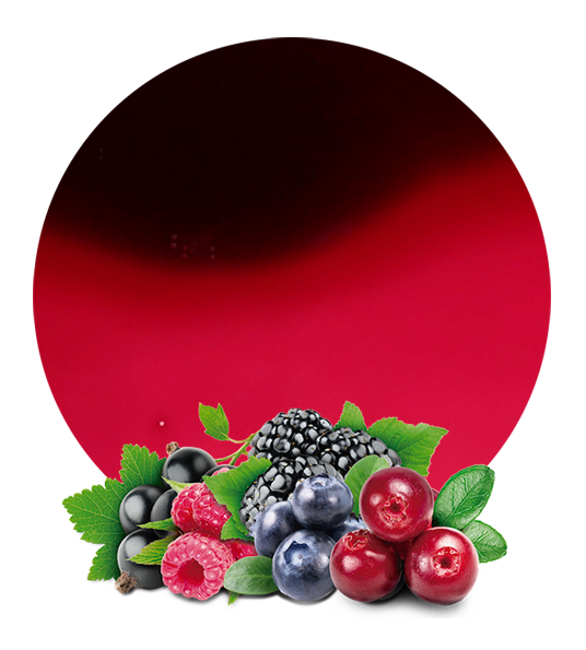 Wild berries concentrate-image- 1