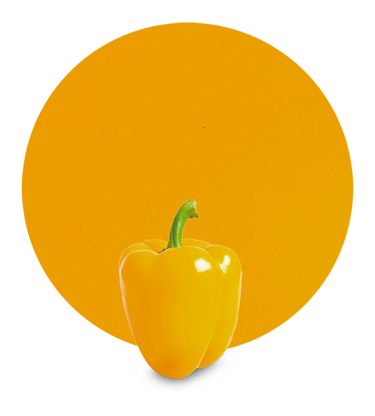 Yellow Pepper Puree-image- 1