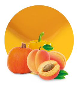 Apricot, Yellow Pepper & Pumpkin Concentrate-image- 1