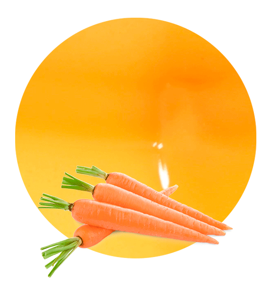 Carrot Juice NFC-image- 1