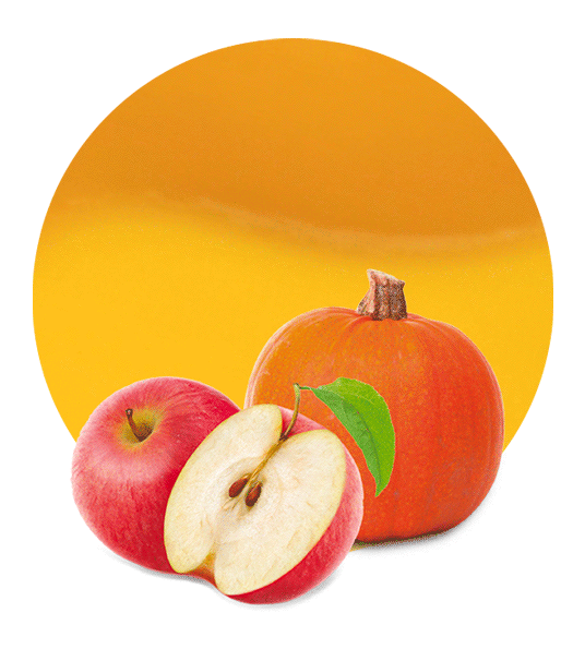 Pumpkin & Apple Compound 12%-image- 1