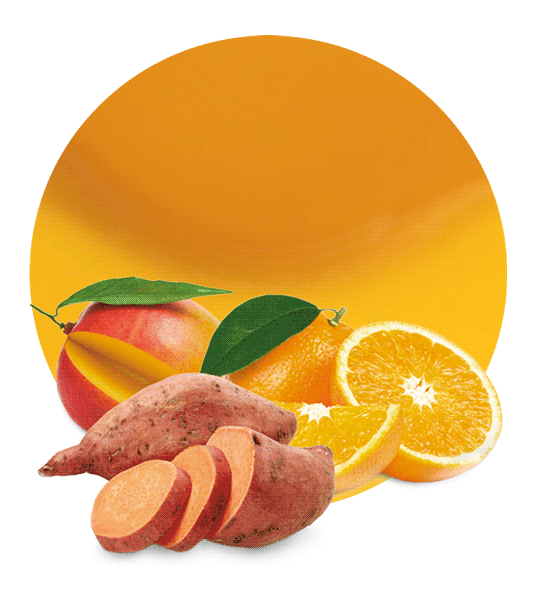 Sweet Potato, Orange & Mango Concentrate-image- 1
