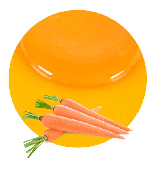Carrot Puree Concentrate-image- 1