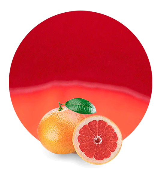 Red Grapefruit Concentrate-image- 1