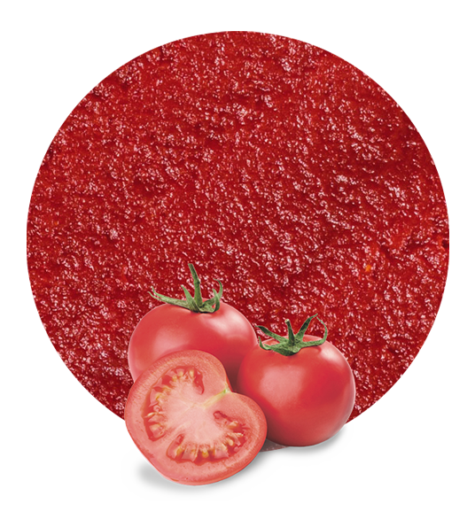 Tomato Paste Concentrate-image- 1