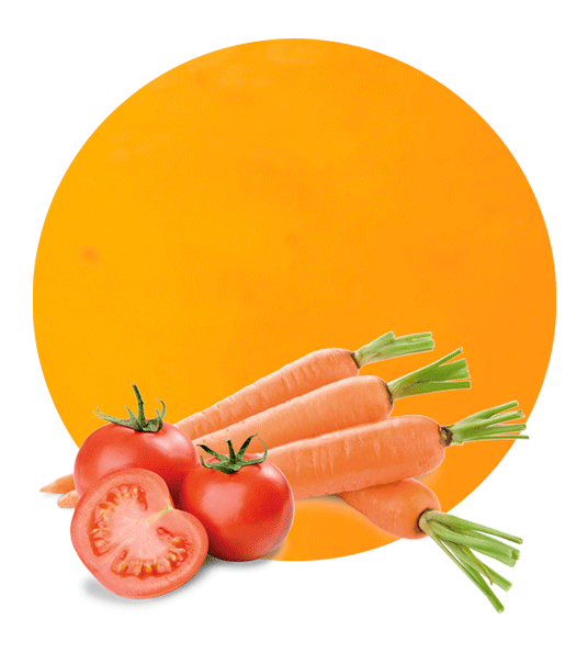 Tomato & Carrot Concentrate-image- 1