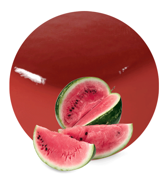 Watermelon Concentrate-image- 1