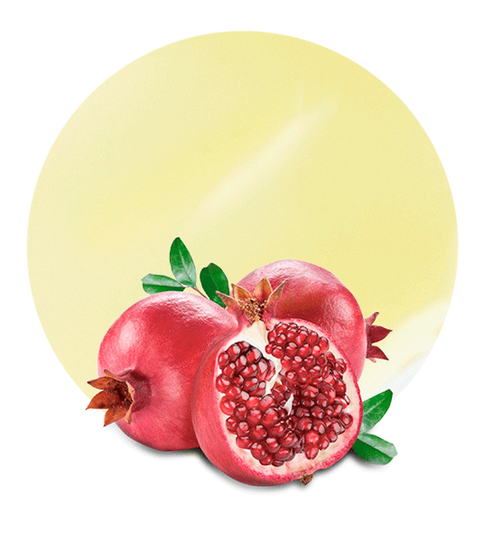 Pomegranate Essential Oil Cosmetic Stock Photo (Edit Now) 1169071405