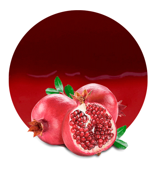 Pomegranate Filling-image- 1