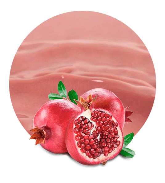 Pomegranate Pomace-image- 1