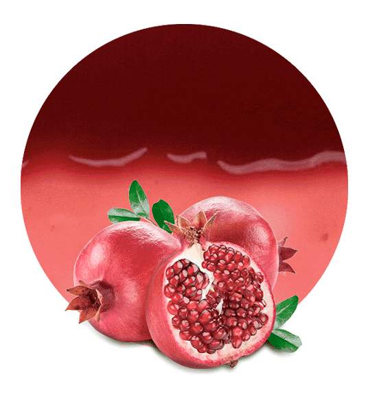 Pomegranate Syrup-image- 1