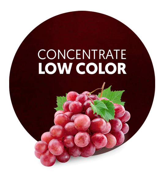 Red Grape Concentrate Low Color-image- 1
