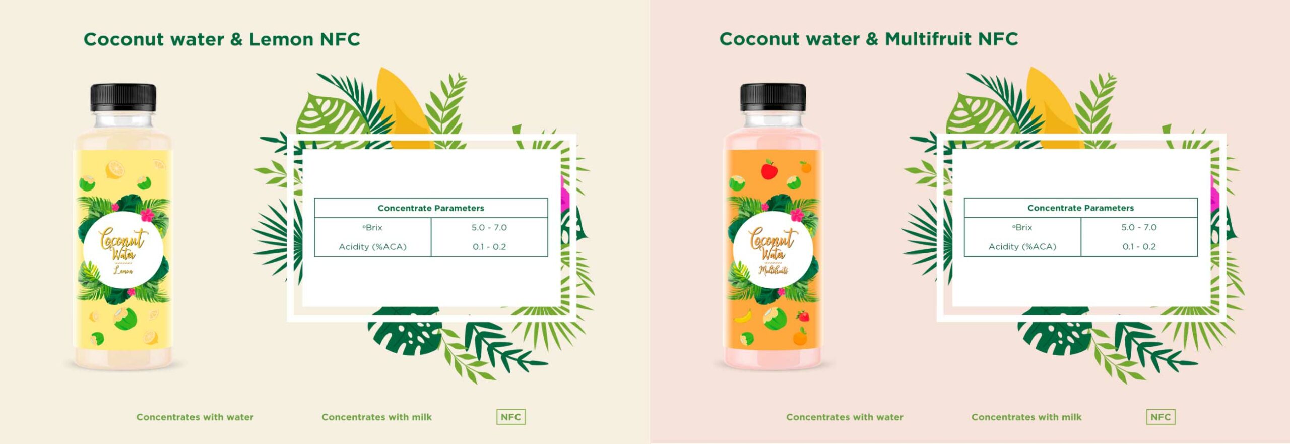 The Growing Trends of Coconut Drinks-image- 5